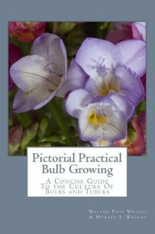 Cover of Pictorial Practical Bulb Growing