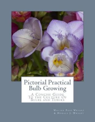 Cover of Pictorial Practical Bulb Growing