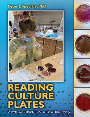 Book cover for Reading Culture Plates