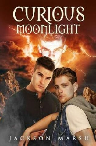 Cover of Curious Moonlight