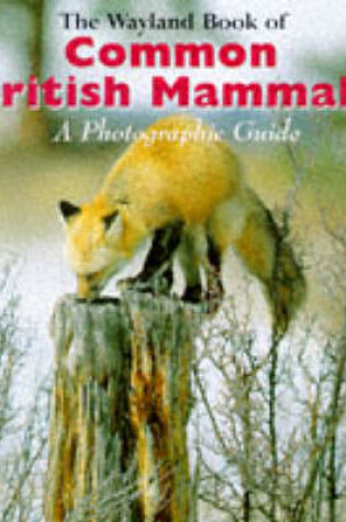 Cover of Wayland Book of Common British Mammals