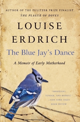 Book cover for The Blue Jay's Dance