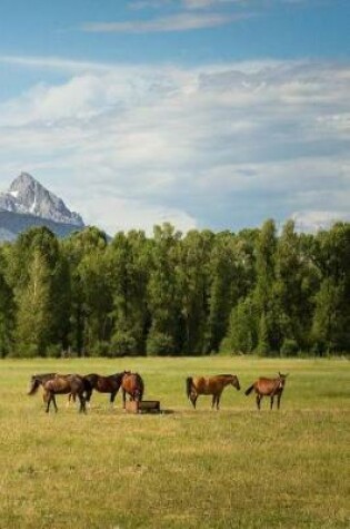 Cover of Chestnut Horses in the Wild