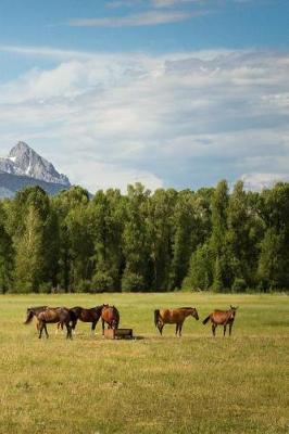 Book cover for Chestnut Horses in the Wild