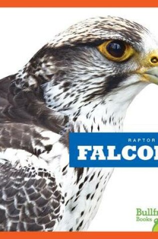 Cover of Falcons