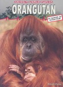 Book cover for Orangutan - Animals Under Threat