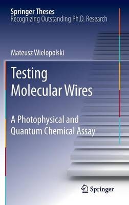 Cover of Testing Molecular Wires