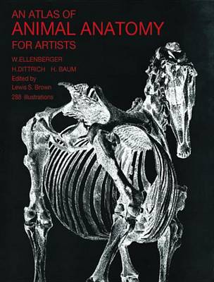 Cover of An Atlas of Animal Anatomy for Artists