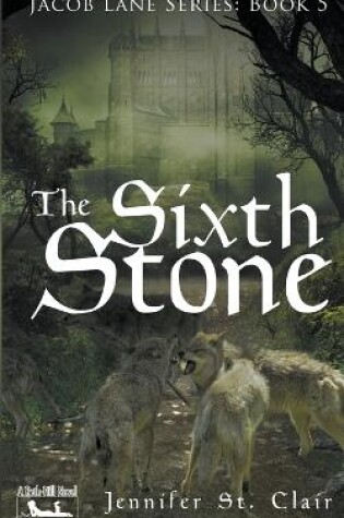 Cover of The Sixth Stone