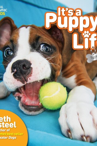 Cover of It's a Puppy's Life