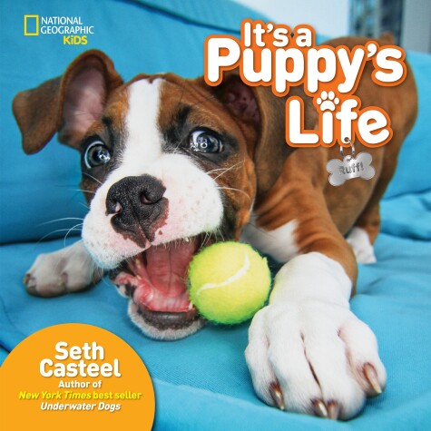 Book cover for It's a Puppy's Life