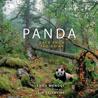 Book cover for Panda