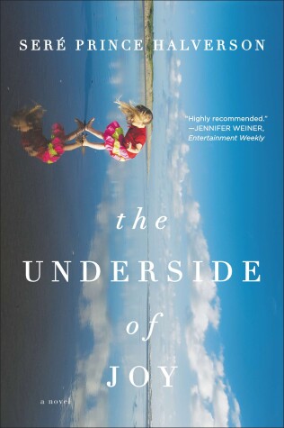 Book cover for The Underside of Joy