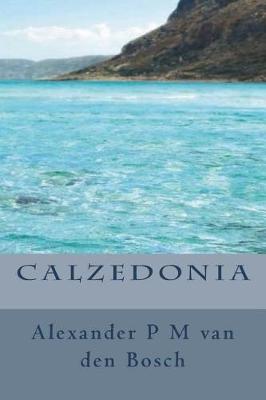 Book cover for Calzedonia