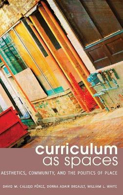 Book cover for Curriculum as Spaces