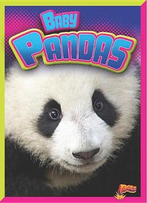 Book cover for Baby Pandas