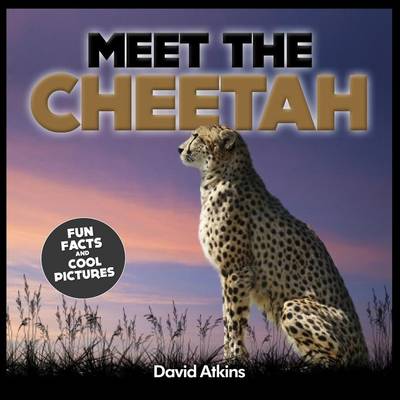 Book cover for Meet The Cheetah