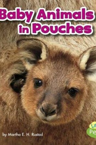 Cover of Baby Animals in Pouches