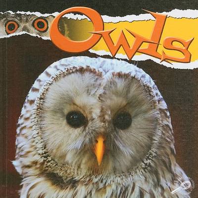 Cover of Owls