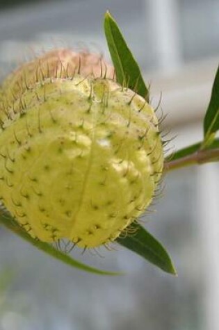 Cover of A Balloon Plant, for the Love of Nature