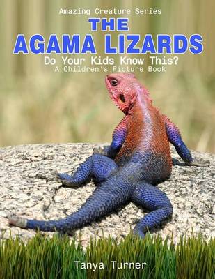 Book cover for The Agama Lizard
