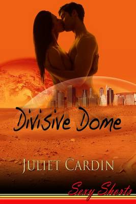 Book cover for Divisive Dome