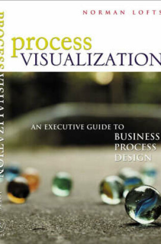 Cover of Process Visualization