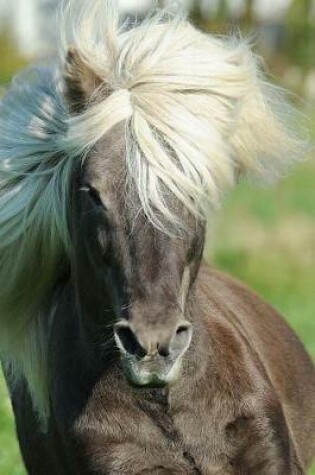 Cover of Beautiful Mane of the Icelandic Horse Blowing in the Wind Journal