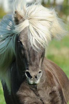 Book cover for Beautiful Mane of the Icelandic Horse Blowing in the Wind Journal