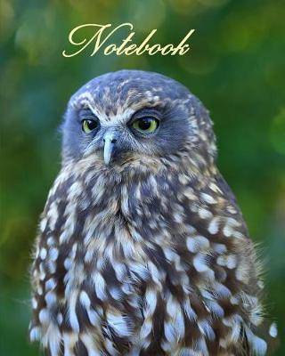 Book cover for Notebook/ Journal - Ruru (Morepork) New Zealand's Native Owl