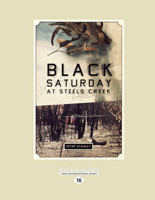 Book cover for Black Saturday at Steels Creek