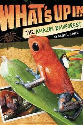 Cover of What's Up In The Amazon Rainforest