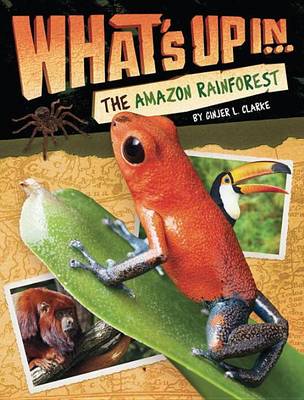 Book cover for What's Up In The Amazon Rainforest