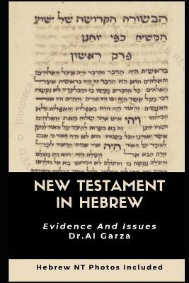 Book cover for The New Testament In Hebrew