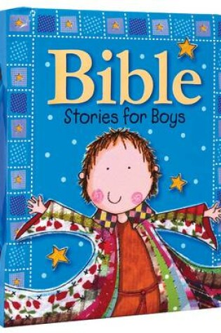 Cover of Bible Stories for Boys