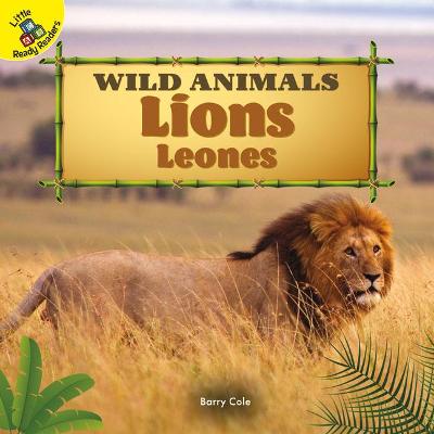 Cover of Lions