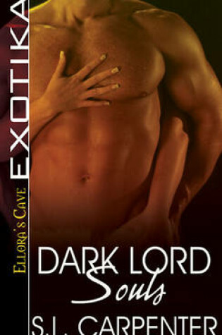 Cover of Dark Lord Souls