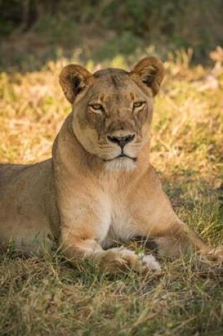 Cover of A Lovely Lioness in a Grassy Clearing Journal