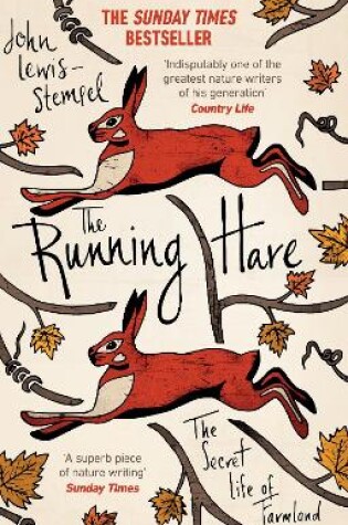 Cover of The Running Hare