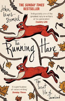 Book cover for The Running Hare