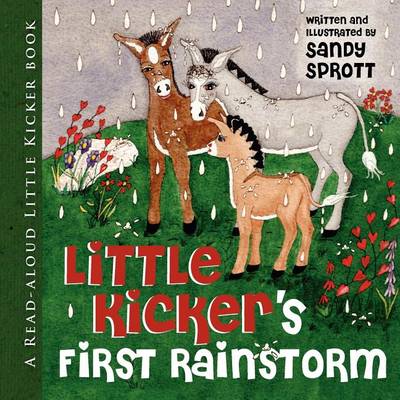 Book cover for Little Kicker's First Rainstorm