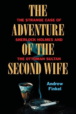 Book cover for The Adventure of the Second Wife