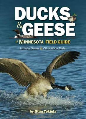Book cover for Ducks & Geese of Minnesota Field Guide