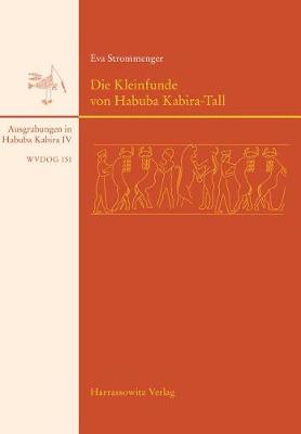 Book cover for Die Kleinfunde Von Habuba-Kabira-Tall