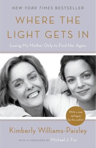 Book cover for Where the Light Gets In