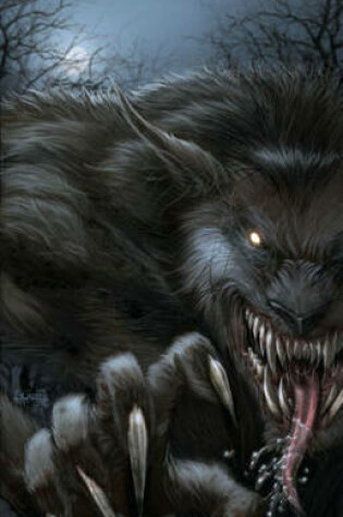 Cover of Grimm Fairy Tales Presents: Vampires and Werewolves