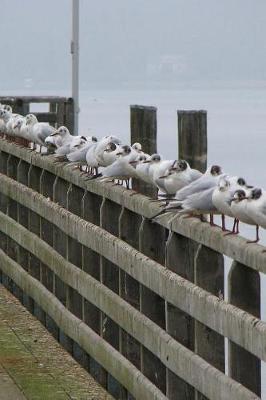 Book cover for Sea Gulls on a Pier Journal