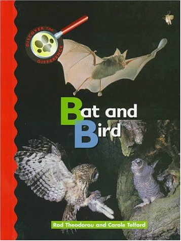 Book cover for Bat and Bird