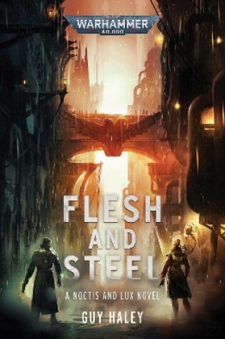 Cover of Flesh and Steel