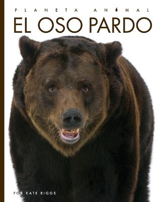 Book cover for El Oso Pardo